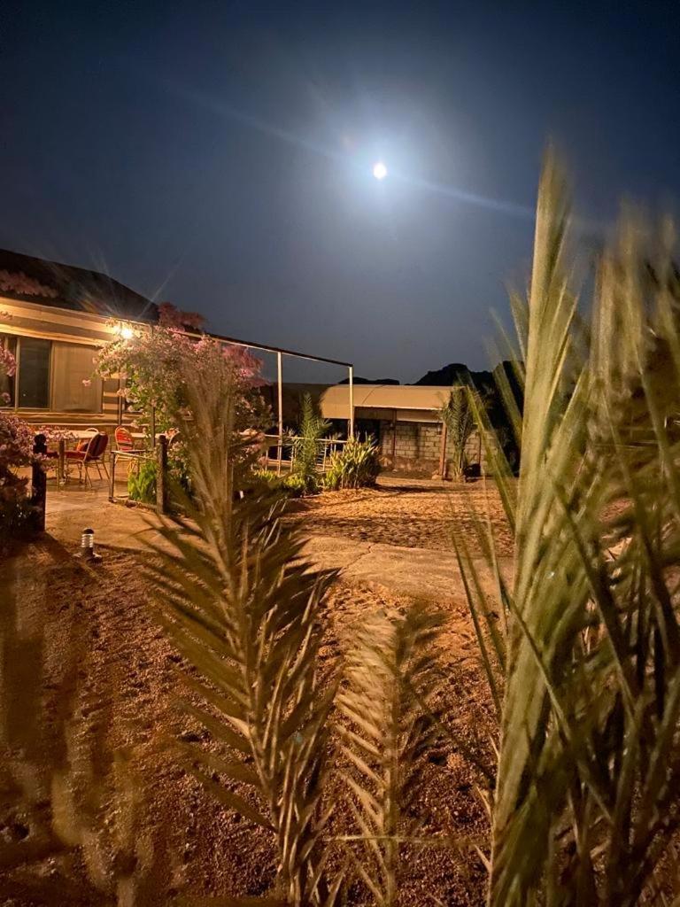 فندق Moon Night Camp وادي رم المظهر الخارجي الصورة