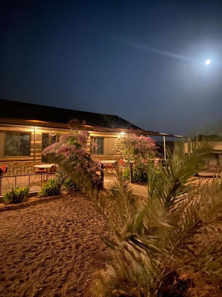فندق Moon Night Camp وادي رم المظهر الخارجي الصورة